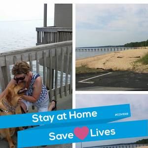 Meet your Posher, Sherry